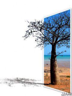 Other Wallpapers 0510